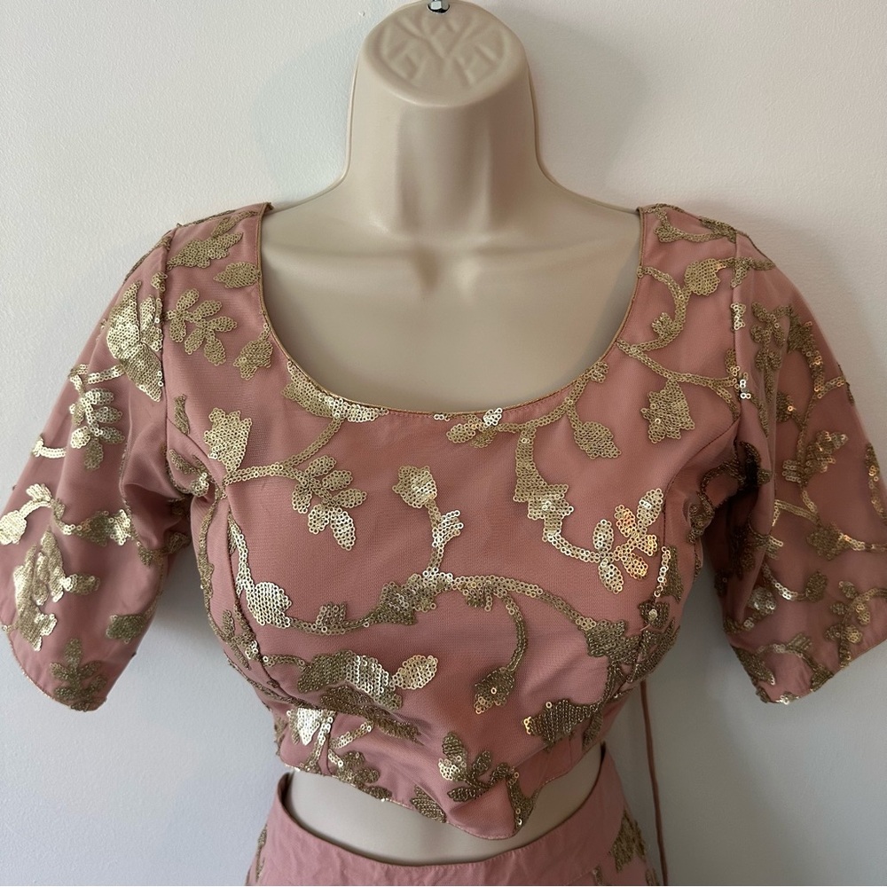 Blush Embroidered Indian Wedding Two Piece Dress with Gold Accents - Picture 5 of 16
